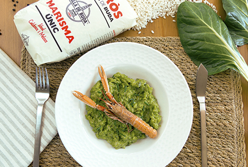 Arroz Verde Web